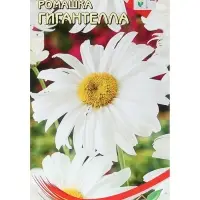 Семена Ромашка "Гигантелла",  70 шт