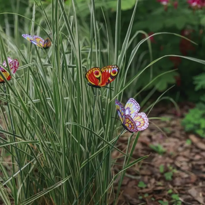 Штекер садовый &laquo;Бабочка дольче&raquo;, 12&times;9 см, h=30 см, МИКС
