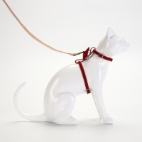 Комплект амуниции "Шахматный джентельмен", поводок 120 х 1 см, красный