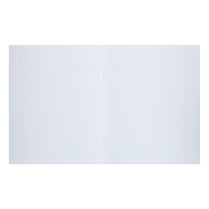 Комплект тетрадей из 10 штук (5 видов по 2 штуки), 48 листов в клетку Calligrata Комплект тетрадей из 10 штук (5 видов по 2 штуки), 48 листов в клетку Calligrata "Смайлики", обложка мелованный картон, блок офсет