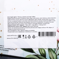 Новый год. Шоколадное драже &laquo;Малина в темном шоколаде&raquo;, 100 г