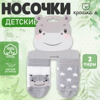 Набор носков Крошка Я &laquo;Бегемот&raquo;, 2 пары, 8-10
