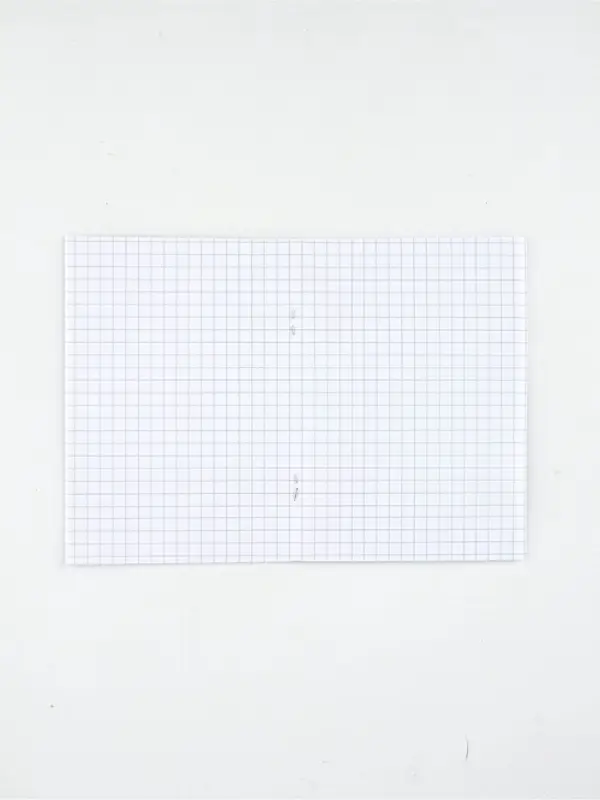 Набор блокнотов 4 шт. А6, 32 листа "Цветы"