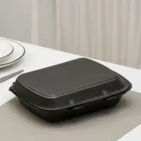 Ланч - бокс одноразовый, 24,7&times;20,6&times;3,5 см, 1 секция, чёрный