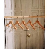 Плечики - вешалки для одежды SL Home, 5 шт, детские, дерево лотос, 33&times;21 см