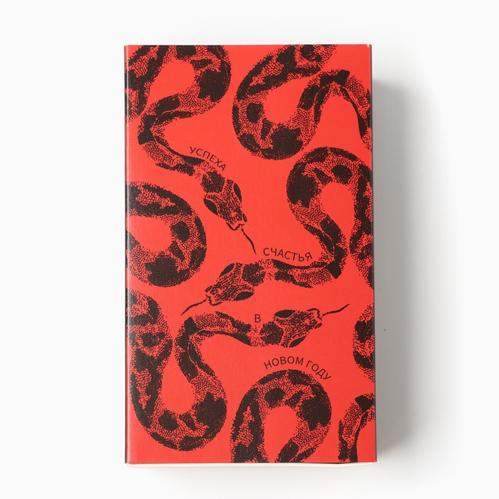 Набор мужских носков KAFTAN "Успеха" р. 41-44 (27-29 см), 2 пары