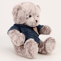 Мягкая игрушка &laquo;Медвежонок&raquo;, 20 см, в кофте, цвет серый