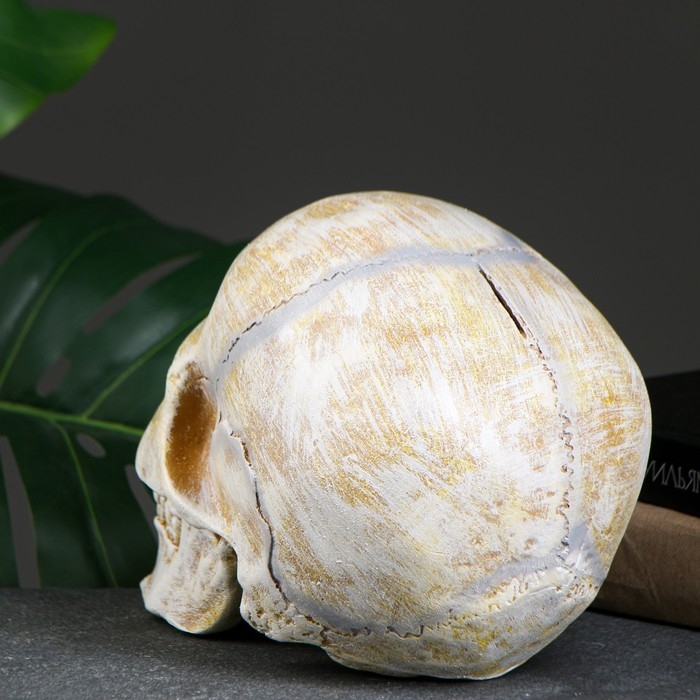 Копилка Копилка "Череп" кость, 16х13х22см