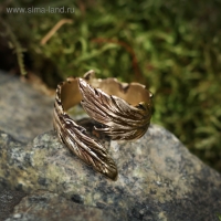 Кольцо-амулет &laquo;Перо удачи&raquo;, литой, латунь, D=17-21 мм