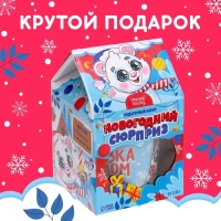 Подарочный набор &laquo;Новогодний сюрприз&raquo;
