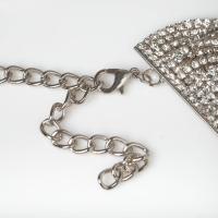 Чокер &laquo;Лёд&raquo; изысканный, цвет белый в серебре,30 см