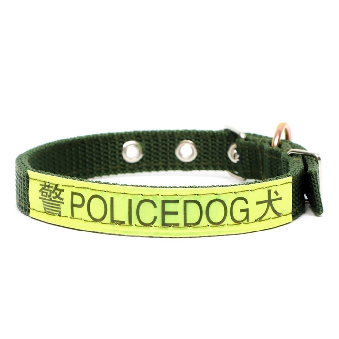 Ошейник двухслойный с вертлюгом, 2 см, зелёный Ошейник двухслойный с вертлюгом, 2 см, зелёный