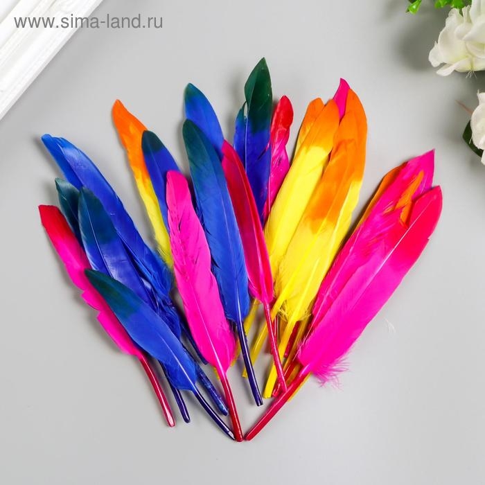 Перья декоративные прямые, 10-15 см (набор 24 шт) 6 цветов, двухцветные, ассорти Перья декоративные прямые, 10-15 см (набор 24 шт) 6 цветов, двухцветные, ассорти
