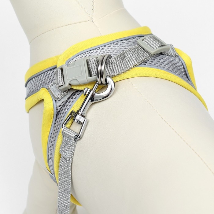 Комплект с мягкой шлейкой, быстросъемный, XS, поводок 150 х 1,5 см, ОШ 29-32 см, ОГ 31-34 см, жёлтый Комплект с мягкой шлейкой, быстросъемный, XS, поводок 150 х 1,5 см, ОШ 29-32 см, ОГ 31-34 см, жёлтый