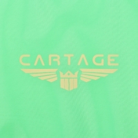 Термосумка Cartage Т-20, салатовый, 10 л, 26х19х19 см