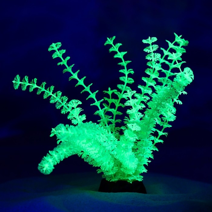 Растение искусственное аквариумное, светящееся, 18 см, зелёное Растение искусственное аквариумное, светящееся, 18 см, зелёное