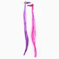 Прядь для волос на заколке, 2 штуки Прядь для волос на заколке, 2 штуки