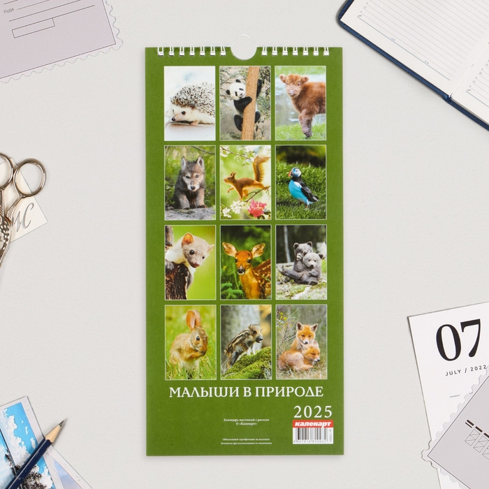 Календарь на ригеле "Малыши в природе" 2025 год, 16,5 х 34 см