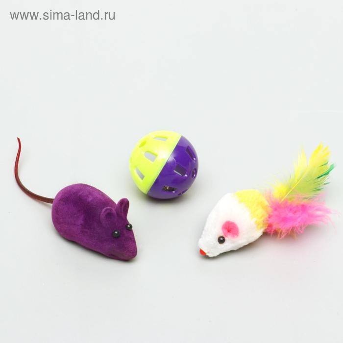Набор игрушек для кошек: 2 мыши (5 и 6 см) и шарик 3,8 см, микс цветов Набор игрушек для кошек: 2 мыши (5 и 6 см) и шарик 3,8 см, микс цветов