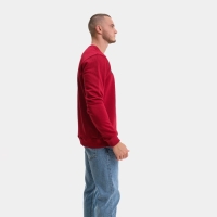 Свитшот мужской, цвет бордовый/принт МИКС, размер 48 (L) Свитшот мужской, цвет бордовый/принт МИКС, размер 48 (L)