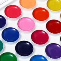 Акварель 24 цвета, ErichKrause Safari, с УФ защитой яркости, в пластиковой коробке, с европодвесом