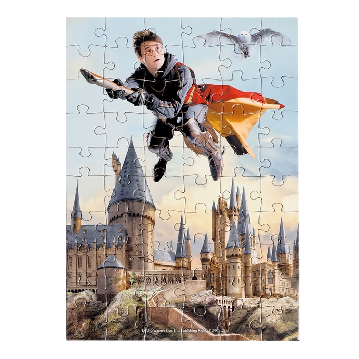 Пазл «Гарри Поттер», 60 элементов, МИКС Пазл «Гарри Поттер», 60 элементов, МИКС