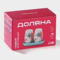 Набор для специй Доляна &laquo;Емеля&raquo;, 2 предмета: солонка, перечница, 130 мл