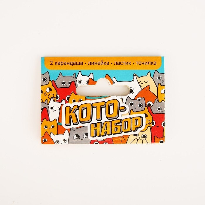 Подарочный набор &laquo;Кото-Подарочный набор&raquo;, 5 предметов