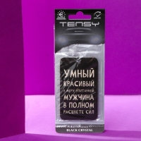 Ароматизатор подвесной Tensy, Черный кристалл TA-301 Ароматизатор подвесной Tensy, Черный кристалл TA-301