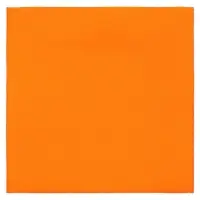 Лейбл тканевый Epsilon, L, оранжевый неон