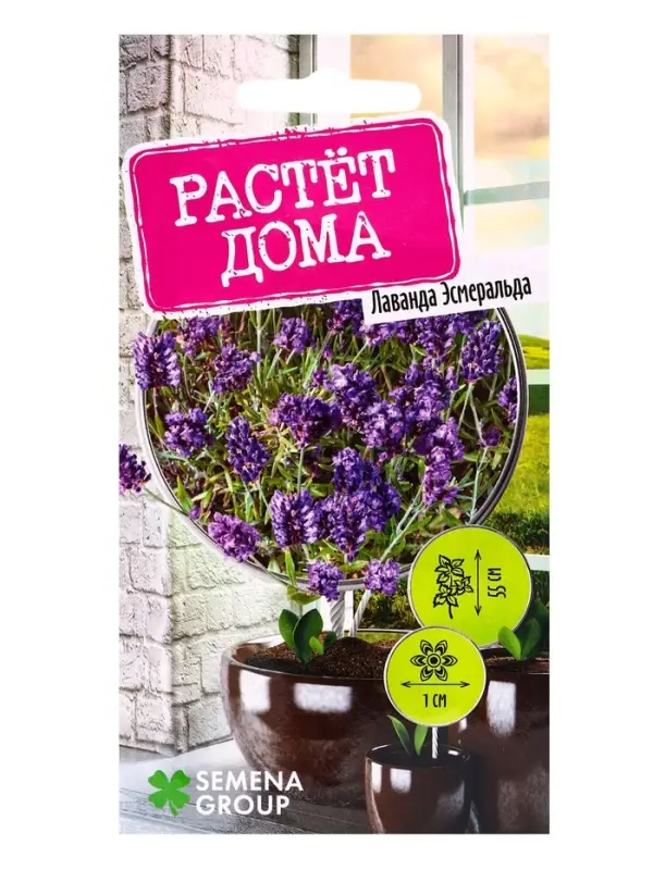 Семена Лаванда Эсмеральда 0,05 г