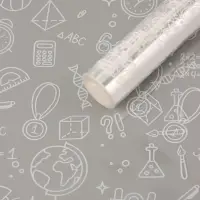 Пленка для цветов "Школьная пора" белая 0,7 х 8.2 м, 40мкм