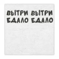 Салфетки бумажные однослойные Гармония цвета "ВыТрИ ЕдАлО" 24*24 см, 20 шт