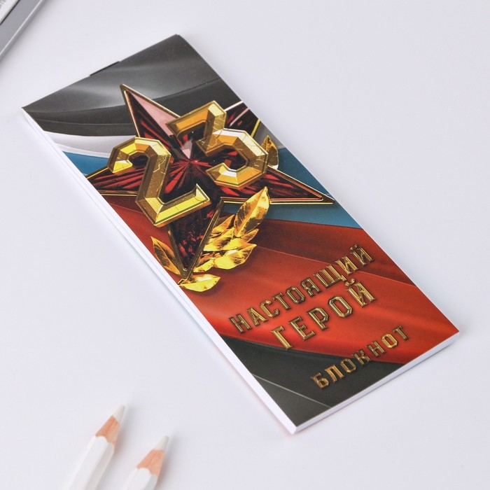 Набор подарочный &laquo;Защитнику Отечества. 23 февраля&raquo;, блокнот 16 листов и ручка пластик