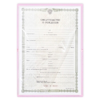 Папка для свидетельства о рождении &laquo;Нашей принцессы&raquo;, А5.