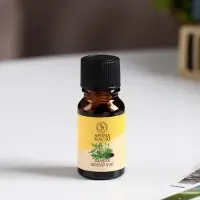 Эфирное масло &laquo;Бамбук и белый чай&raquo;, 10 мл, &laquo;Богатство Аромата&raquo;