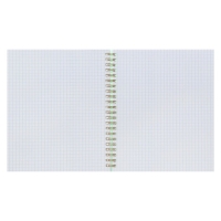 Тетрадь на гребне A5 96 листов в клетку Calligrata Зелёная, пластиковая обложка, блок офсет Тетрадь на гребне A5 96 листов в клетку Calligrata Зелёная, пластиковая обложка, блок офсет