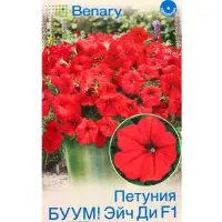 Семена цветов Петуния БУУМ! Эйч Ди F1 Ред многоцветковая  (драже)  Benary, Ц/П,7 шт.