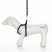 Комплект "Джинс", ширина 1 см, поводок 120 см, шлейка 25-40 см, синий Комплект "Джинс", ширина 1 см, поводок 120 см, шлейка 25-40 см, синий