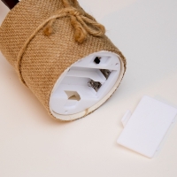 Светодиодный куст &laquo;Рябина&raquo; 45 см, 24 LED, постоянное свечение, от батареек ААх3 (не в комплекте), свечение тёплое белое