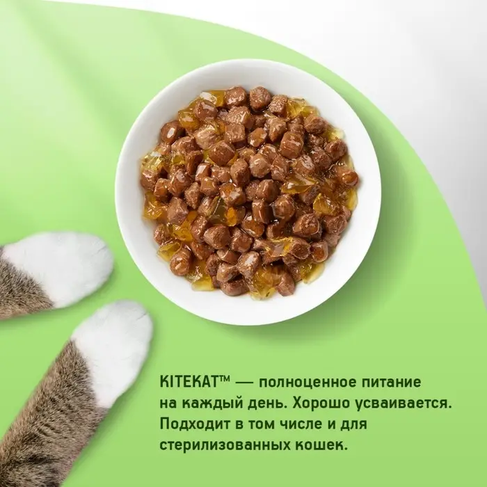 Влажный корм Kitekat для кошек, говядина в желе, пауч, 85 г
