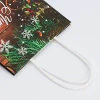 Пакет бумажный подарочный новогодний крафт &laquo;Чудеса&raquo; 15&times;21&times;8 см