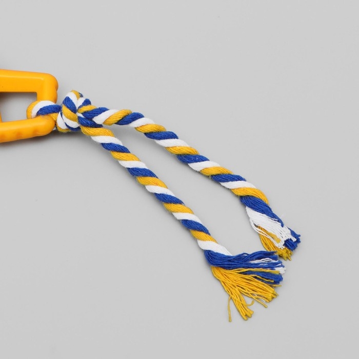 Игрушка жевательная с канатом Игрушка жевательная с канатом "Бантик", 11 см, микс цветов