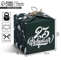 Коробка подарочная складная, упаковка, &laquo;23 февраля&raquo;, 12 х 12 х 12 см