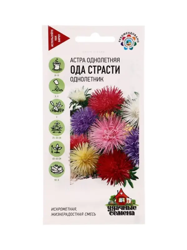 Семена цветов Астра Ода страсти, однолетняя (игольчатая) смесь 0,3 г Уд. с.