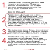 Семена Свекла столовая "Червона Кула", 2 г