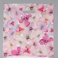 Пакет "Комплимент", полиэтиленовый с вырубной ручкой, 38 х 45 + 3 см, 50 мкм