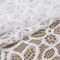 Кружевная эластичная ткань, 170 мм &times; 23 &plusmn; 1 м, цвет белый