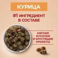 Сухой корм Purina One medium/maxi для взрослых собак, курица/рис, 10 кг