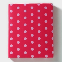 Блюдо сервировочное Доляна &laquo;Панда&raquo;, 20&times;16 см